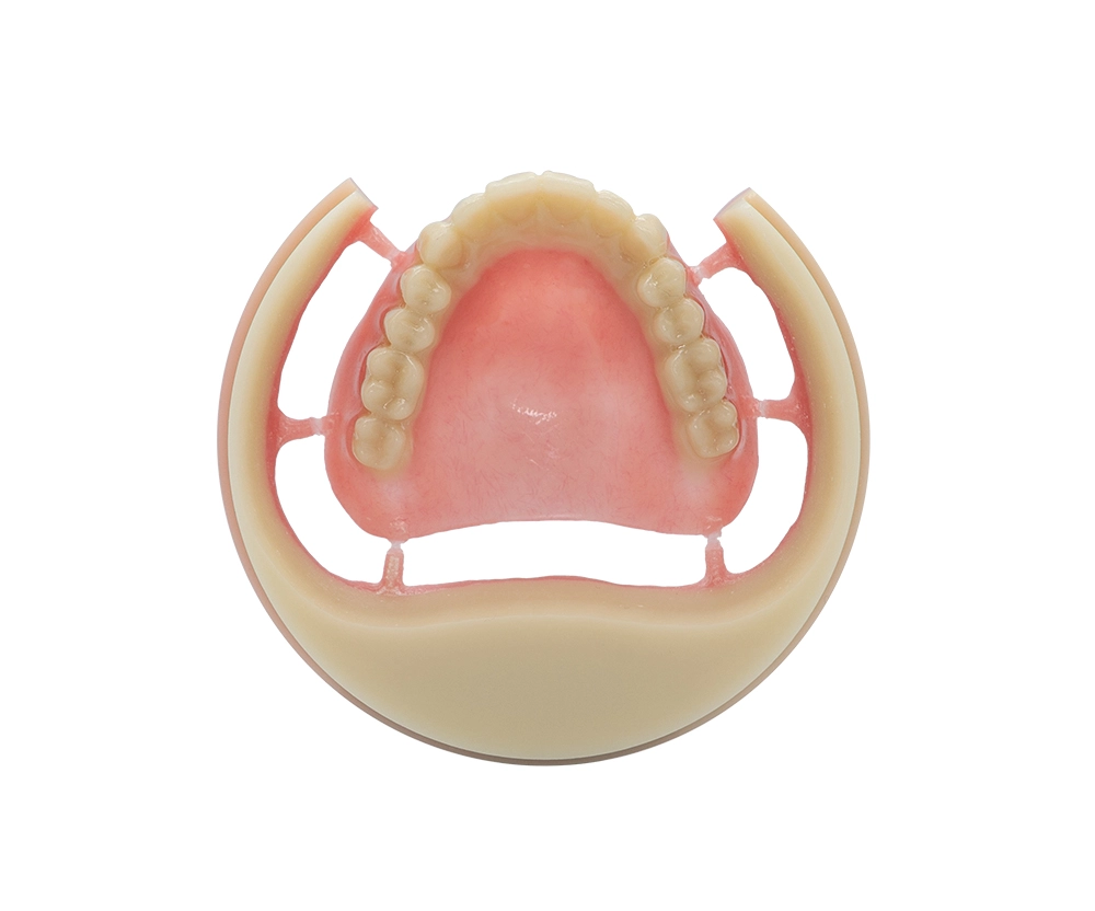 Plein dentier PMMA BLOC