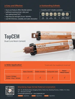 Brochure de ciment en résine double cure TopCEM