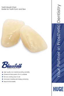 Tableau du moule BLUEBELL
